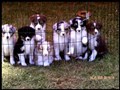 FB_IMG_1590227186138.jpg